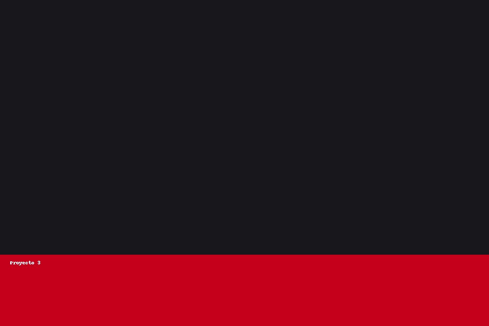 Proyecto 3